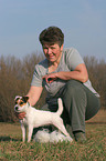 trimming a Jack Russell Terrier