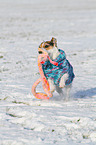 playing Jack Russell Terrier