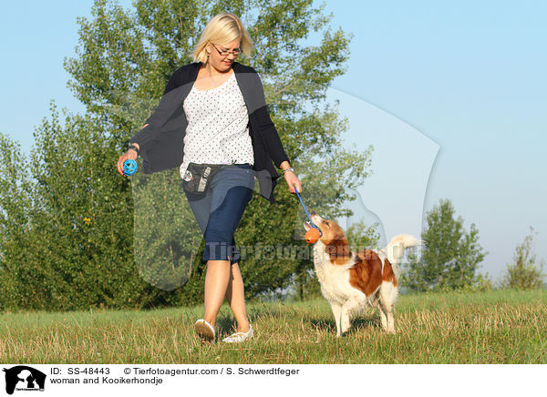 woman and Kooikerhondje / SS-48443
