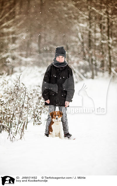 boy and Kooikerhondje / JAM-01492