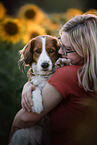 male Kooikerhondje