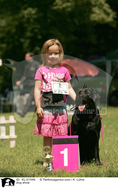 Hundeausstellung / dog show / KL-01546