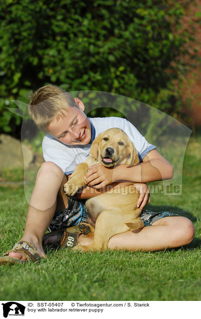 Junge und Labrador Retriever Welpe / boy with labrador retriever puppy / SST-05407