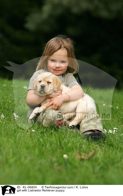 Mdchen mit Labrador Retriever Welpe / girl with Labrador Retriever puppy / KL-06804