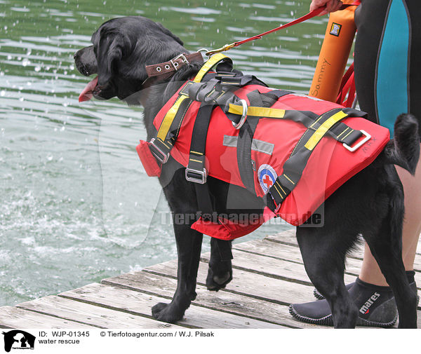 Wasserrettung / water rescue / WJP-01345