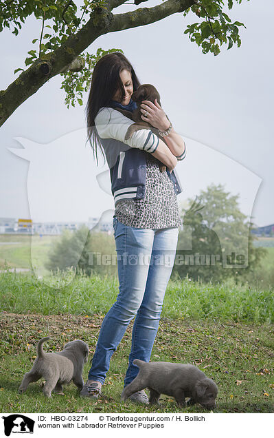 woman with Labrador Retriever Puppies / HBO-03274