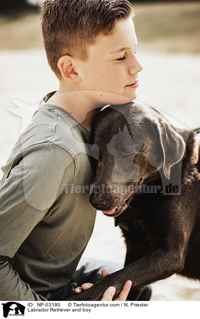 Labrador Retriever und Junge / Labrador Retriever and boy / NP-03180