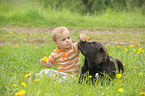 child and Labrador Retriever