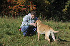 man and Labrador Retriever