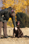 woman and Labrador Retriever