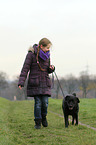child and dog