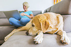 woman with Labrador Retriever