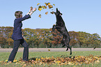 woman with Labrador Retriever