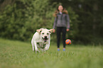 woman with Labrador Retriever