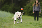woman with Labrador Retriever