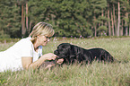 woman with Labrador Retriever