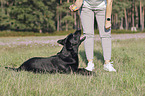 woman with Labrador Retriever