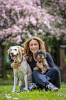 woman and 2 dogs