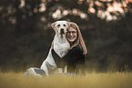 adult Labrador Retriever