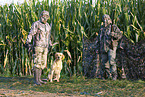 Labrador Retriever at hunt