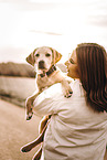 woman and Labrador Retriever Puppy