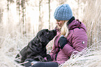 Labrador Retriever