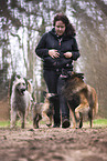 woman and dogs