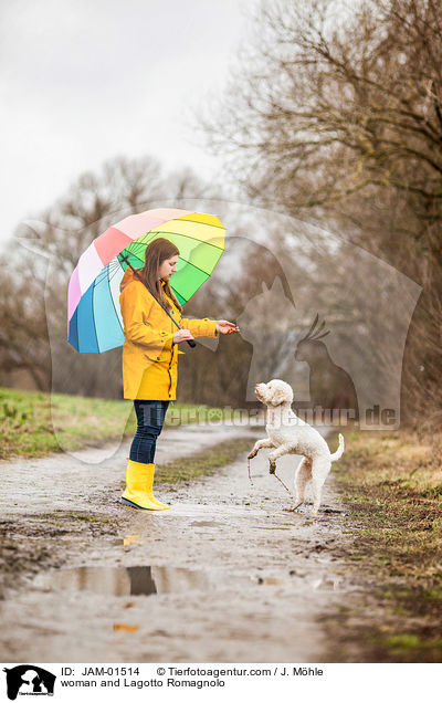 Frau und Lagotto Romagnolo / woman and Lagotto Romagnolo / JAM-01514