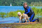 Lagotto Romagnolor is trained as a water rescue dog