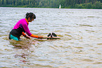 Landseer is trained as a water rescue dog