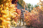 standing Louisiana Catahoula Leopard Dog