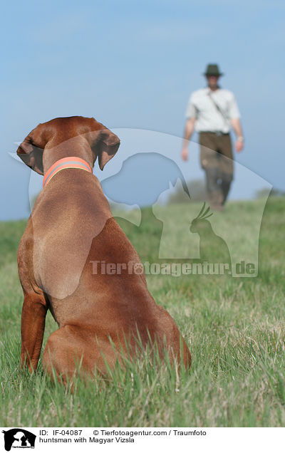 Jger mit Magyar Vizsla / huntsman with Magyar Vizsla / IF-04087
