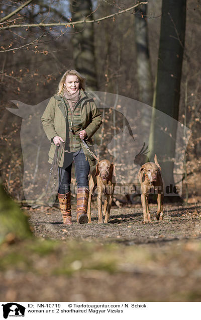 woman and 2 shorthaired Magyar Vizslas / NN-10719