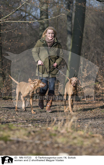woman and 2 shorthaired Magyar Vizslas / NN-10723