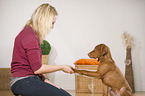 woman and young Magyar Vizsla