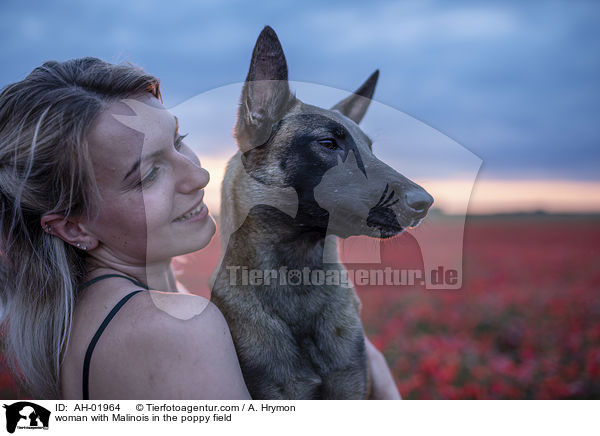 Frau mit Malinois im Mohnfeld / woman with Malinois in the poppy field / AH-01964