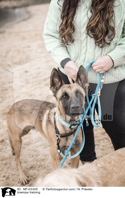 Schleppleinentraining / towrope training / NP-03345