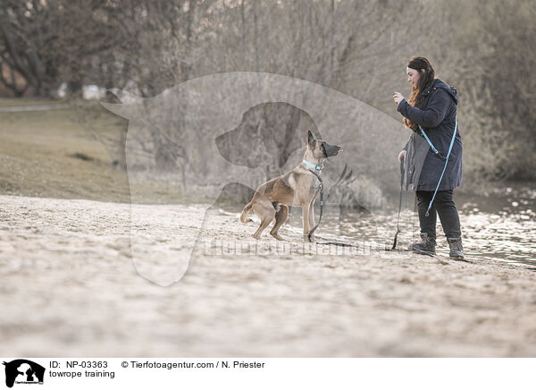 Schleppleinentraining / towrope training / NP-03363