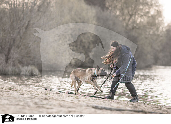 Schleppleinentraining / towrope training / NP-03366