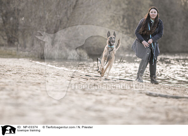 Schleppleinentraining / towrope training / NP-03374