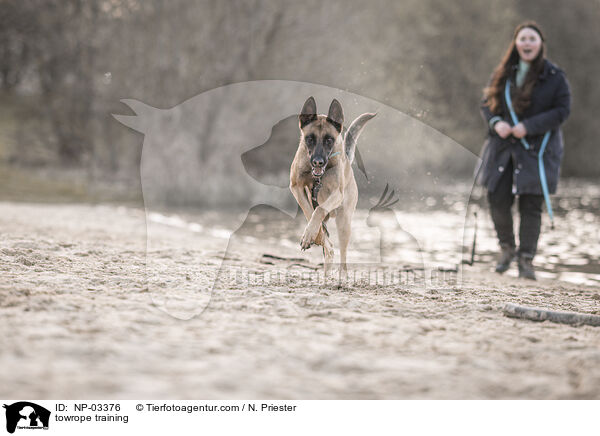 Schleppleinentraining / towrope training / NP-03376