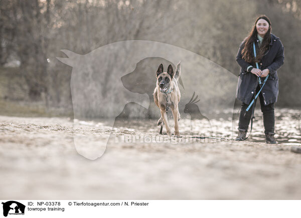 Schleppleinentraining / towrope training / NP-03378