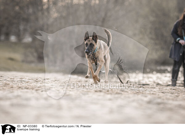 Schleppleinentraining / towrope training / NP-03380