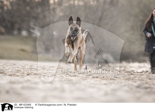 Schleppleinentraining / towrope training / NP-03385