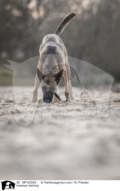 towrope training / NP-03393
