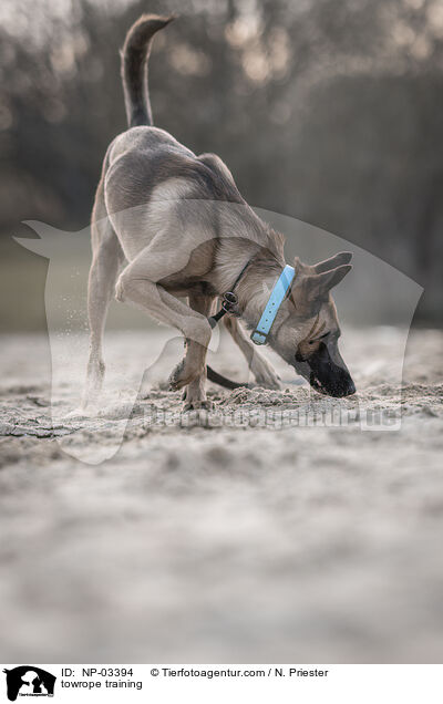 towrope training / NP-03394