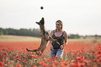 woman with  Malinois in the poppy field
