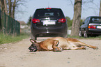 car accident