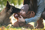 baby and Malinois