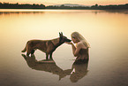 adult Malinois